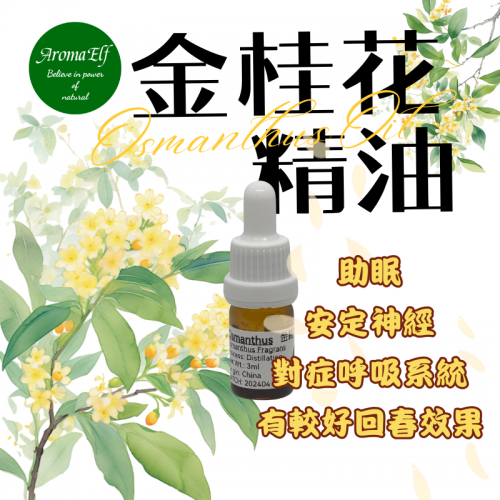 金桂花精油1ML