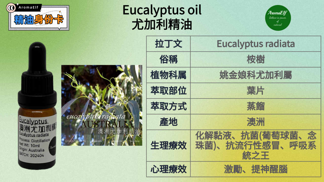 尤加利精油10ML