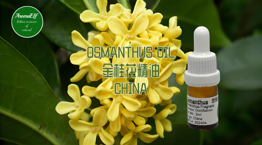 金桂花精油1ML